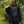 Load image into Gallery viewer, SWEATSHIRT WATER LILLY LOOSE FRENCH TERRY