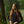 Load image into Gallery viewer, Long Sleeve Top Royal Touch
