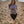 Load image into Gallery viewer, T-SHIRT COURLAND GIRL