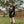 Load image into Gallery viewer, OVERSIZED SWEATSHIRT DRESS GREEN PAITING