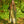 Load image into Gallery viewer, Long Linen Dress RAXTI