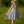 Load image into Gallery viewer, Little Girl dress Laima