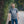 Load image into Gallery viewer, SET CLASSIC
