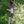 Load image into Gallery viewer, THE BEAR T-SHIRT