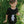 Load image into Gallery viewer, THE BEAR T-SHIRT