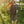 Load image into Gallery viewer, LINEN DRESS RHOMBUS 3/4 SLEEVE