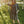 Load image into Gallery viewer, LINEN DRESS RHOMBUS 3/4 SLEEVE