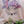 Load image into Gallery viewer, WOMEN'S SWEATSHIRT FLOWER CAT
