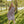Load image into Gallery viewer, LINEN DRESS BIRD 3/4 SLEEVE