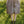 Load image into Gallery viewer, LINEN DRESS BIRD 3/4 SLEEVE