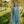 Load image into Gallery viewer, LINEN DRESS BIRD sleeveless