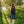 Load image into Gallery viewer, LINEN DRESS RHOMBUS sleeveless