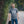 Load image into Gallery viewer, T-SHIRT LĀČPLĒSIS