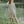 Load image into Gallery viewer, Linen dress RAXTI
