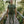 Load image into Gallery viewer, T-SHIRT IN THE WOODS