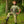 Load image into Gallery viewer, T-shirt Khaki Wolf
